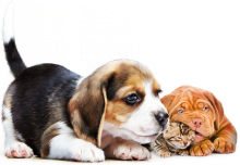 Логотип компании