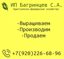 Логотип компании