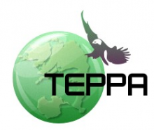 Логотип компании