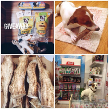 Логотип компании