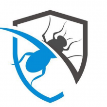 Логотип компании