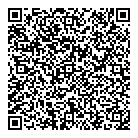 QR код "Лицей №65"