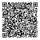 QR код "Voronin"