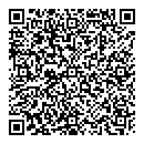 QR код "Мир"