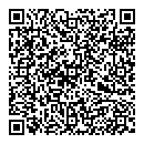 QR код "Венеция"