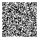 QR код "Virgin"
