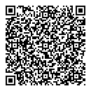 QR код "Глобус"