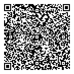 QR код "Воронеж Игрушка"