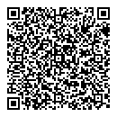 QR код "Глобус"