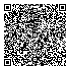 QR код "Глобус"