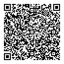 QR код "Глобус"
