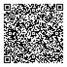 QR код "Свет"