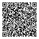 QR код "Мост"