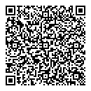 QR код "Дамаск"