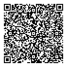 QR код "VOLEM CINEMA"
