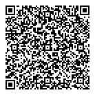 QR код "Звёздный"