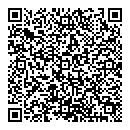 QR код "Динамо"