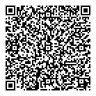QR код "Anex shop"
