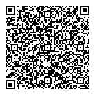 QR код "Биплан"
