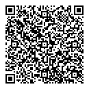 QR код "Гейзер"