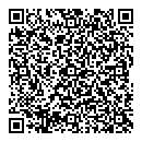 QR код "Нефертити"