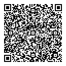 QR код "Дельфин"