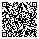 QR код "Электроника"