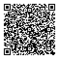 QR код "Intenso"