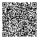 QR код "World Pizza"