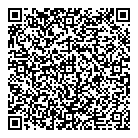 QR код "ДНС"