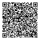 QR код "Блеск"