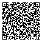 QR код "Ника и платинор"