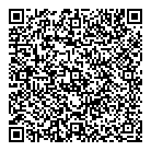 QR код "Домино"