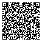 QR код "Домотроника"