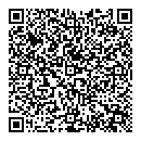 QR код "Алиса"