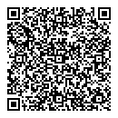 QR код "Паутинка"