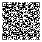 QR код "Инсистем"
