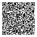 QR код "Пингвин"