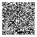 QR код "Иней"