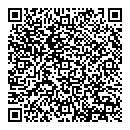 QR код "Бриг"