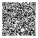 QR код "Алиса"
