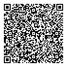 QR код "Мир данных"
