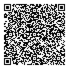 QR код "Динамо"