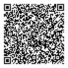 QR код "Шайн"