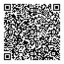 QR код "Призма"