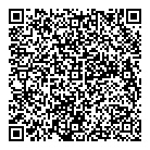 QR код "Звездный"