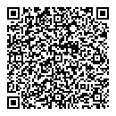 QR код "Авиатор"