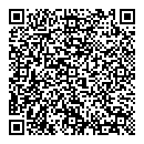 QR код "Свет"