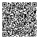QR код "Спутник"