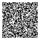 QR код "Звездный"